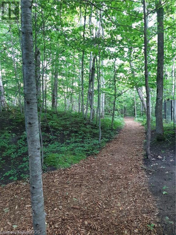 Listing 40381469 - Large Photo # 19
