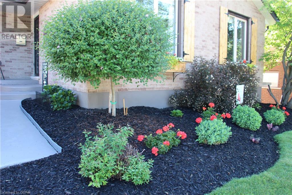 Listing 40381589 - Large Photo # 8