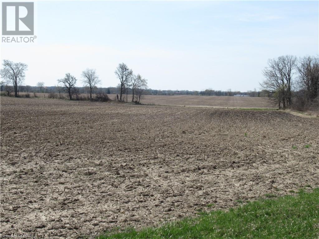 Listing 40382061 - Large Photo # 1