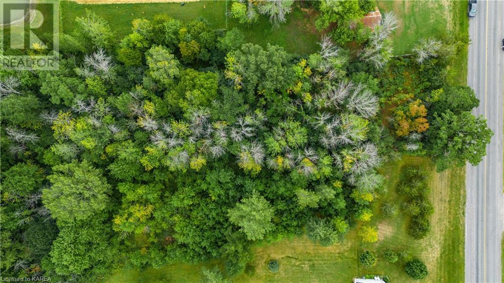 Listing 40383048 - Large Photo # 10
