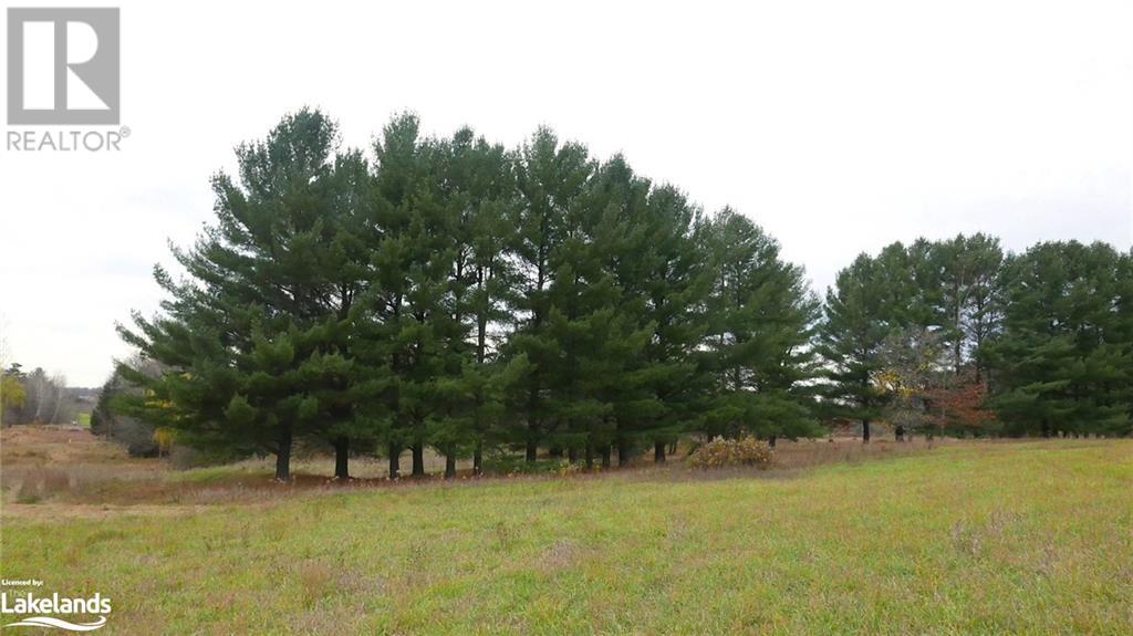Listing 40383172 - Large Photo # 10