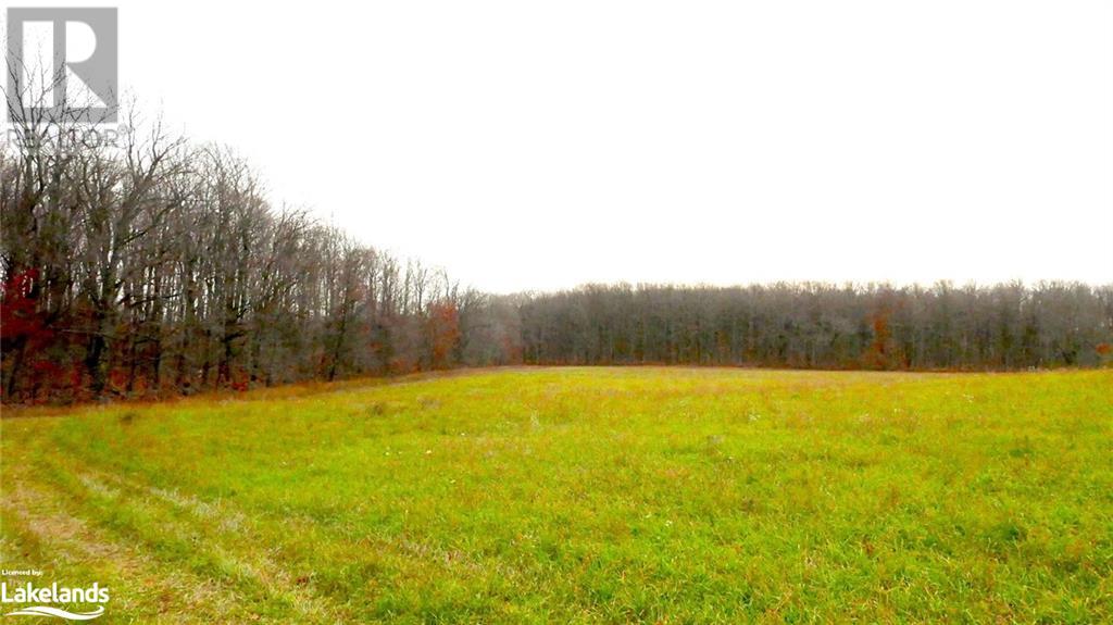 Listing 40383172 - Large Photo # 16
