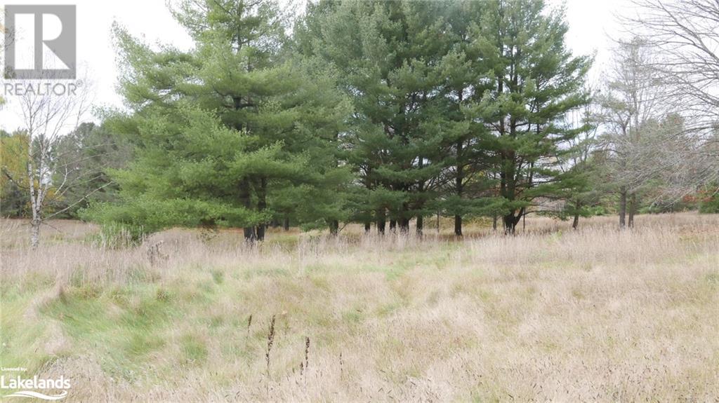 Listing 40383172 - Large Photo # 34