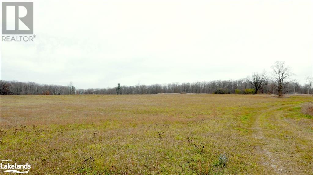 Listing 40383172 - Large Photo # 8
