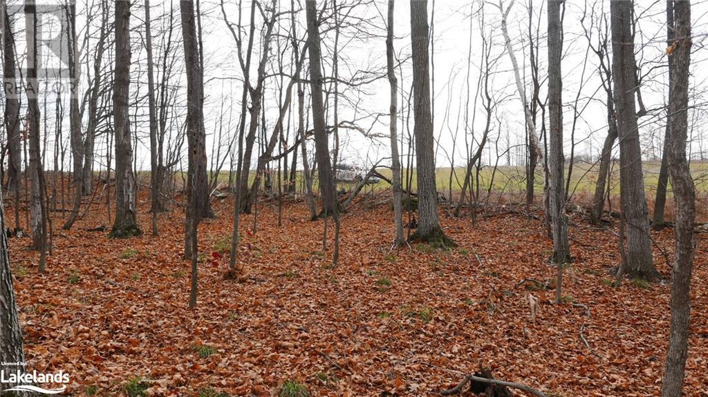 Listing 40383172 - Large Photo # 41