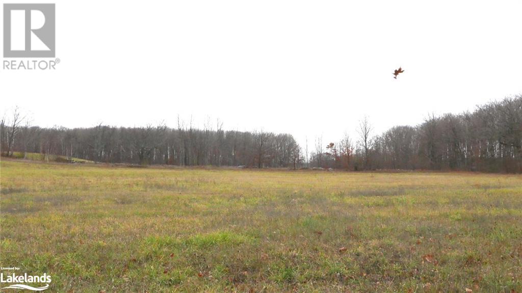 Listing 40383172 - Large Photo # 12