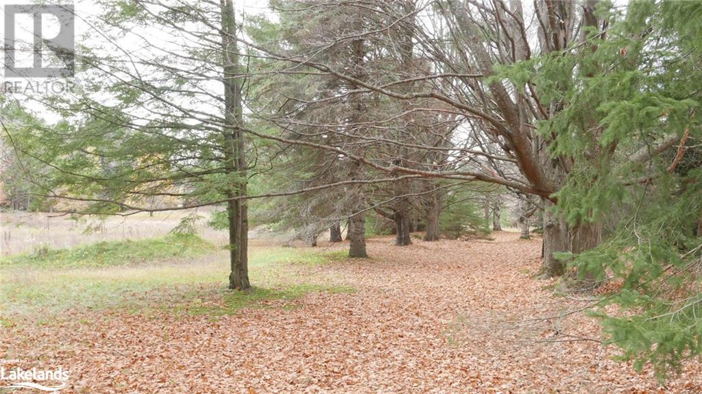 Listing 40383172 - Large Photo # 30