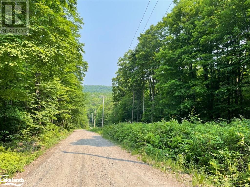 Listing 40383412 - Large Photo # 8