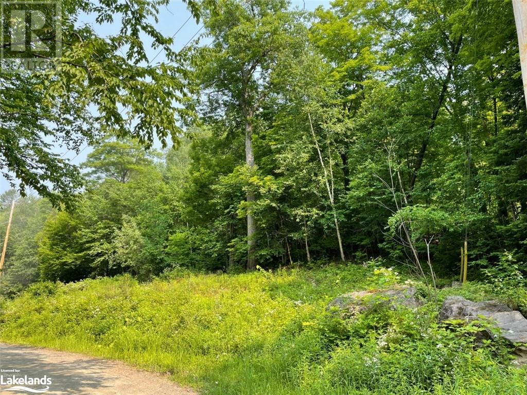 Listing 40383412 - Large Photo # 2