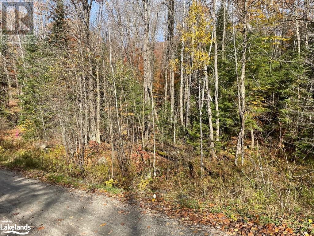 Listing 40383412 - Large Photo # 12