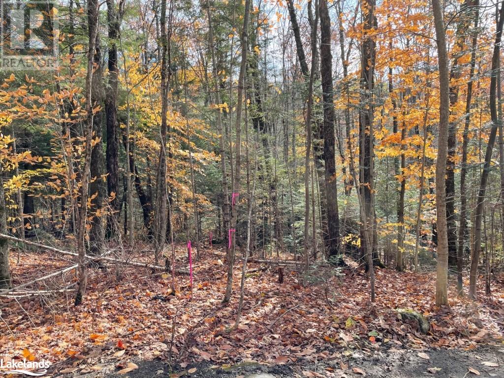 Listing 40383412 - Large Photo # 10