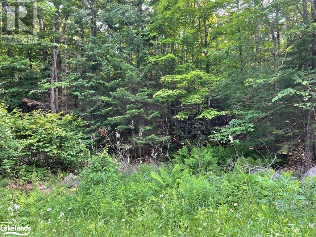 Listing 40383412 - Large Photo # 3