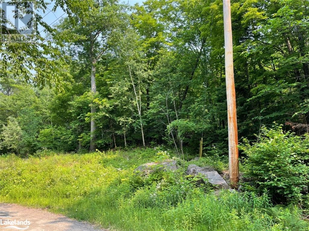 Listing 40383412 - Large Photo # 5