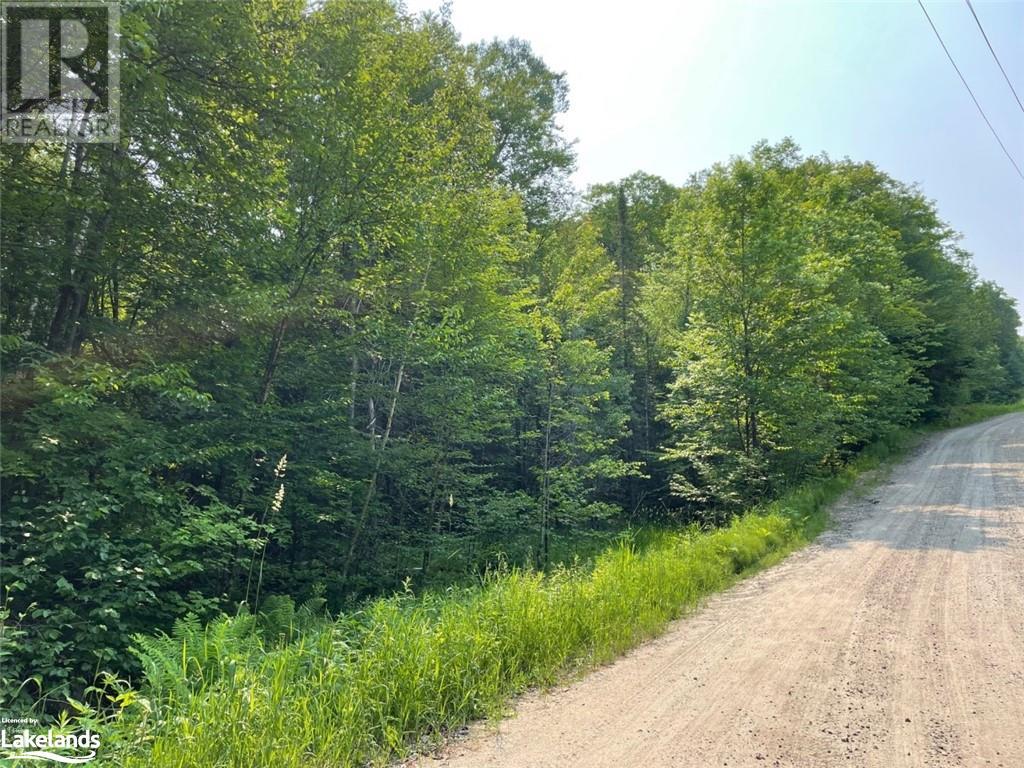 Listing 40383412 - Large Photo # 6