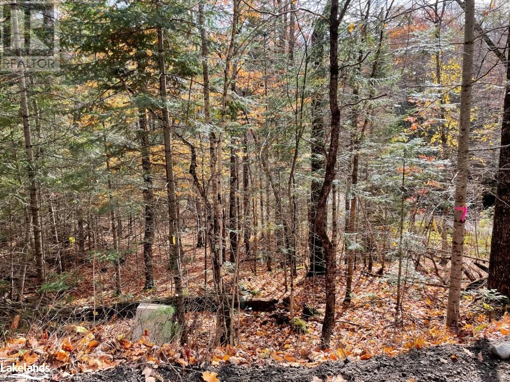 Listing 40383412 - Large Photo # 11