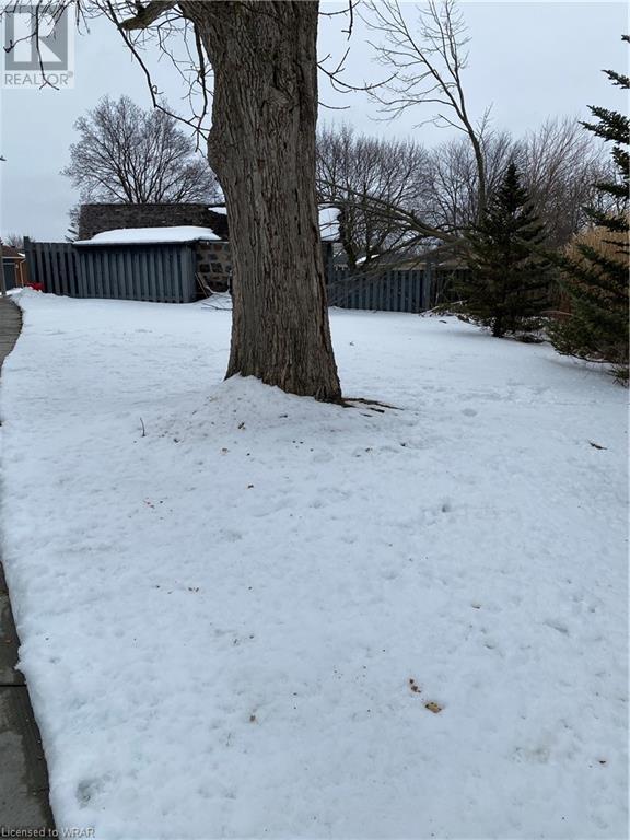 Listing 40383498 - Large Photo # 1
