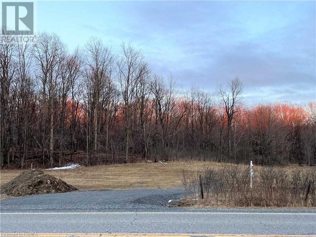 Listing 40383763 - Large Photo # 5