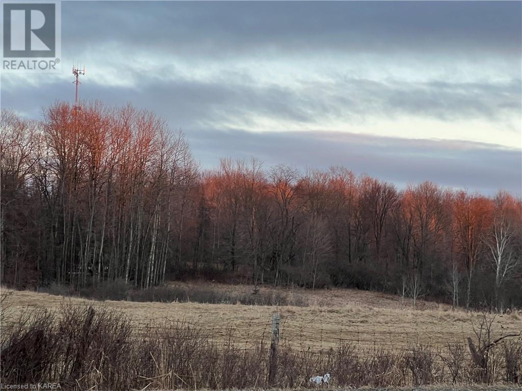 Listing 40383763 - Large Photo # 14
