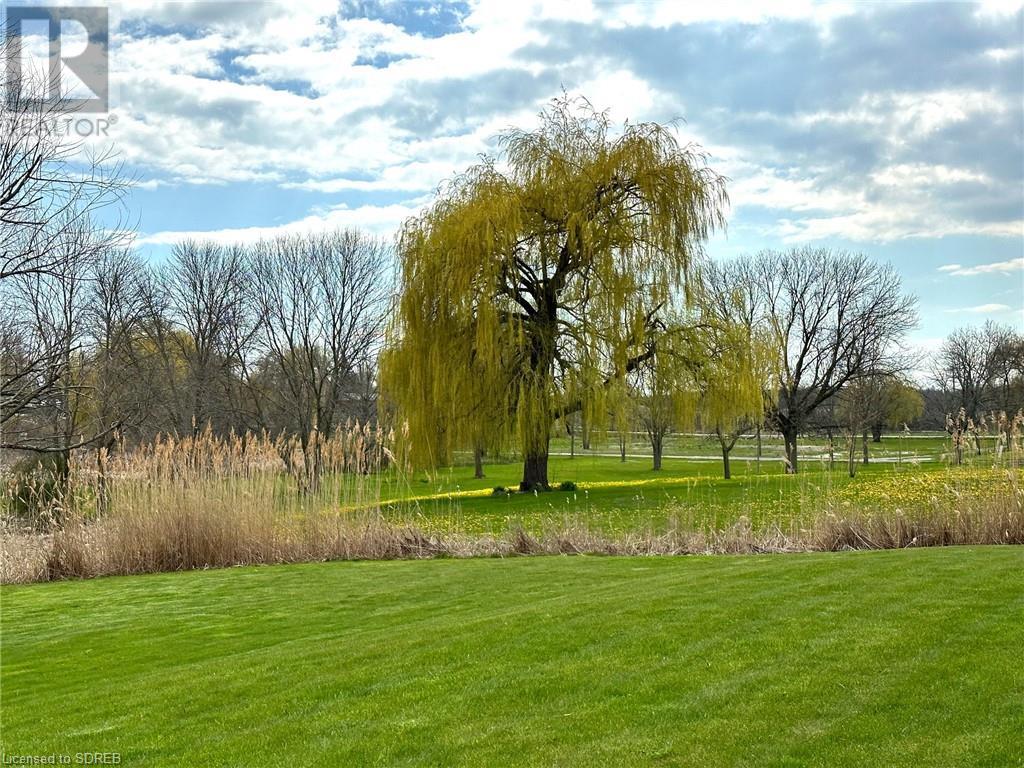 Listing 40383921 - Large Photo # 49