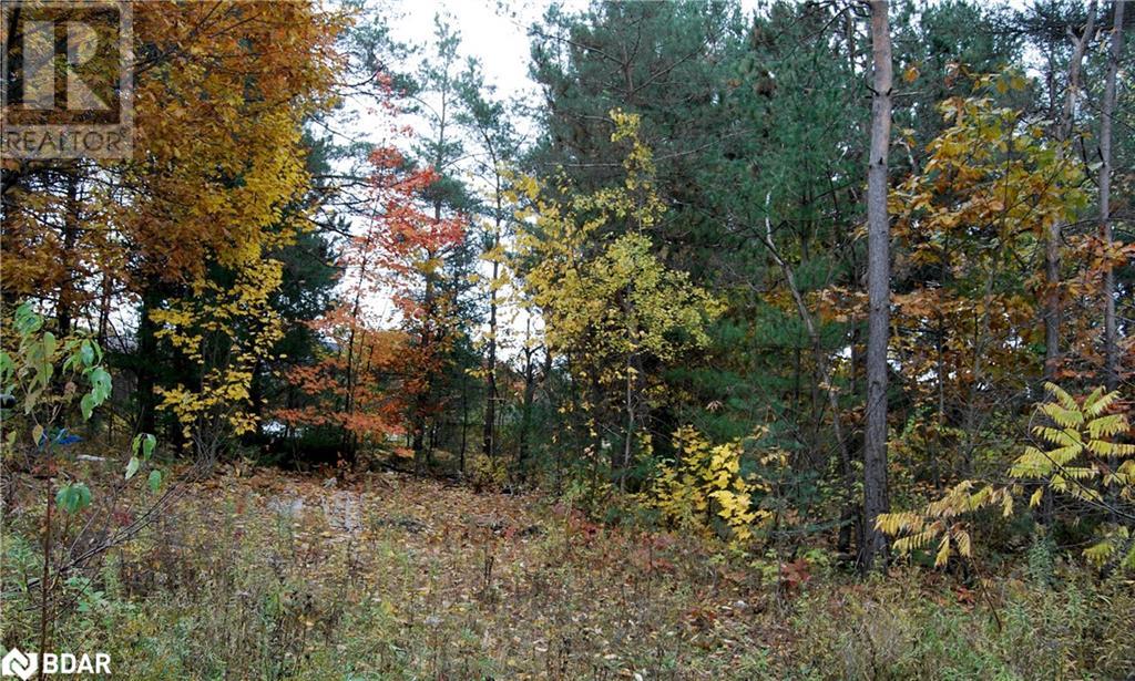 Listing 40384069 - Large Photo # 9
