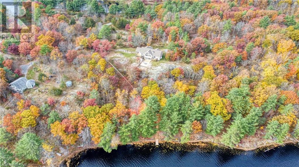Listing 40384084 - Large Photo # 44