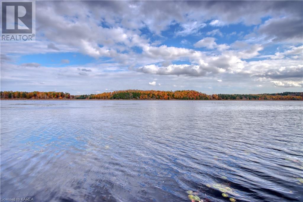 Listing 40384084 - Large Photo # 36