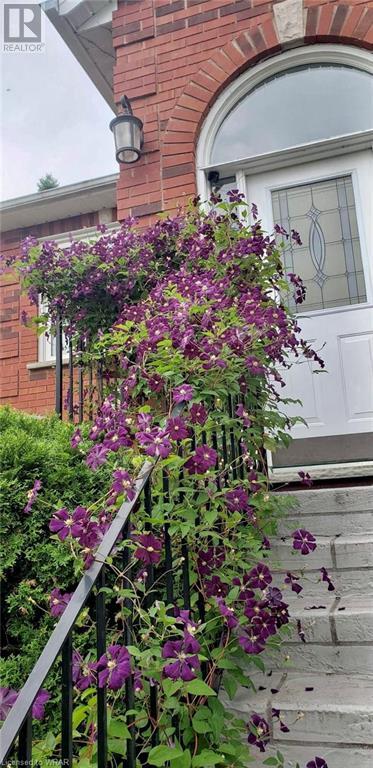Listing 40384187 - Large Photo # 8