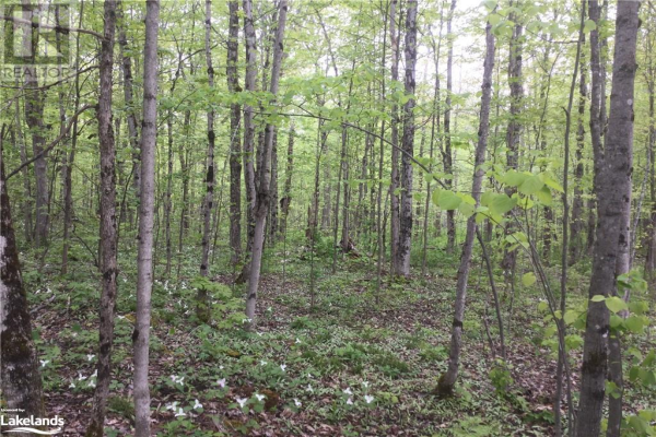 1790 ELLIS Road, Coldwater