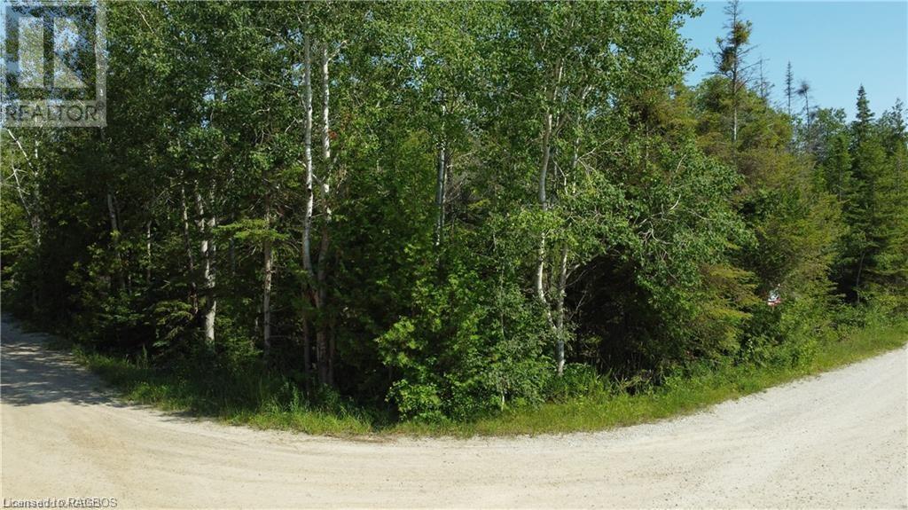 Listing 40384578 - Large Photo # 9