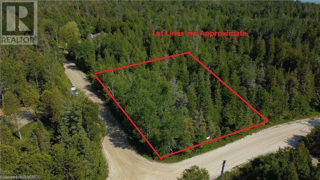 Listing 40384578 - Large Photo # 7