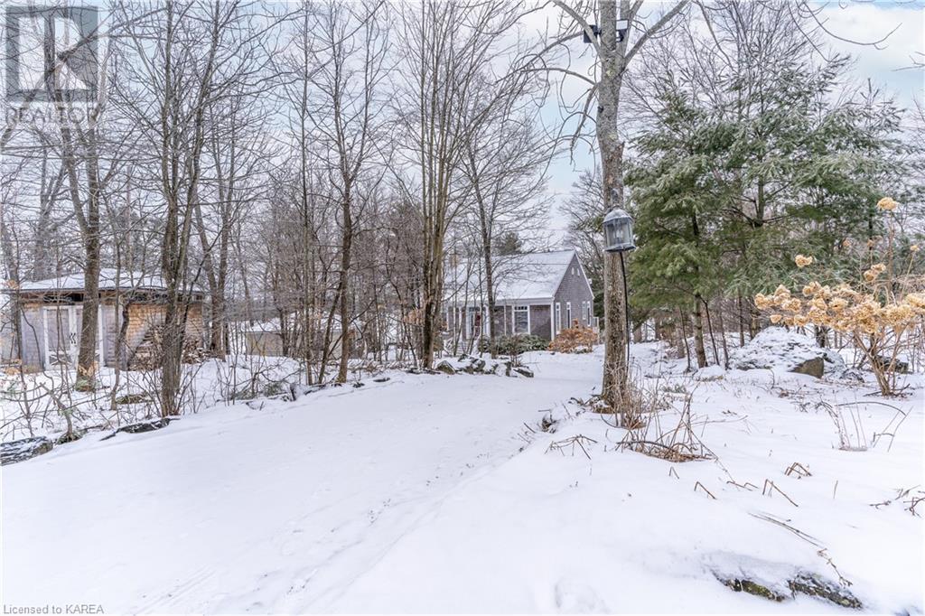 Listing 40385143 - Large Photo # 8