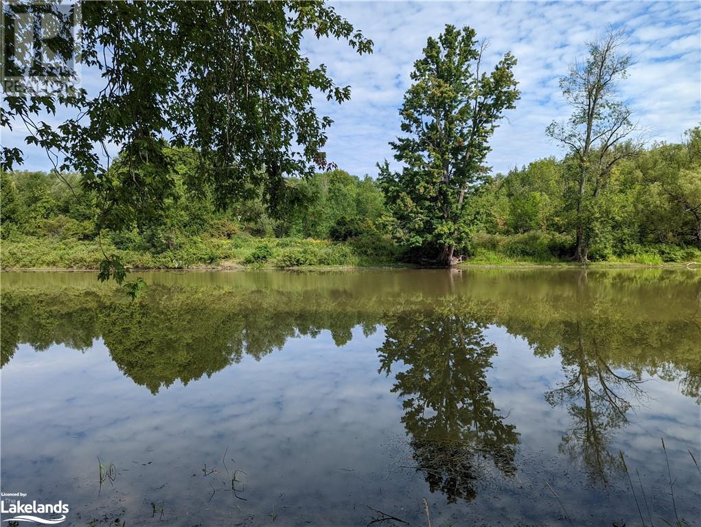 Listing 40385501 - Large Photo # 5