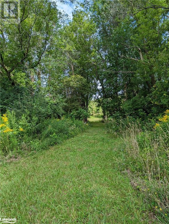 Listing 40385501 - Large Photo # 6
