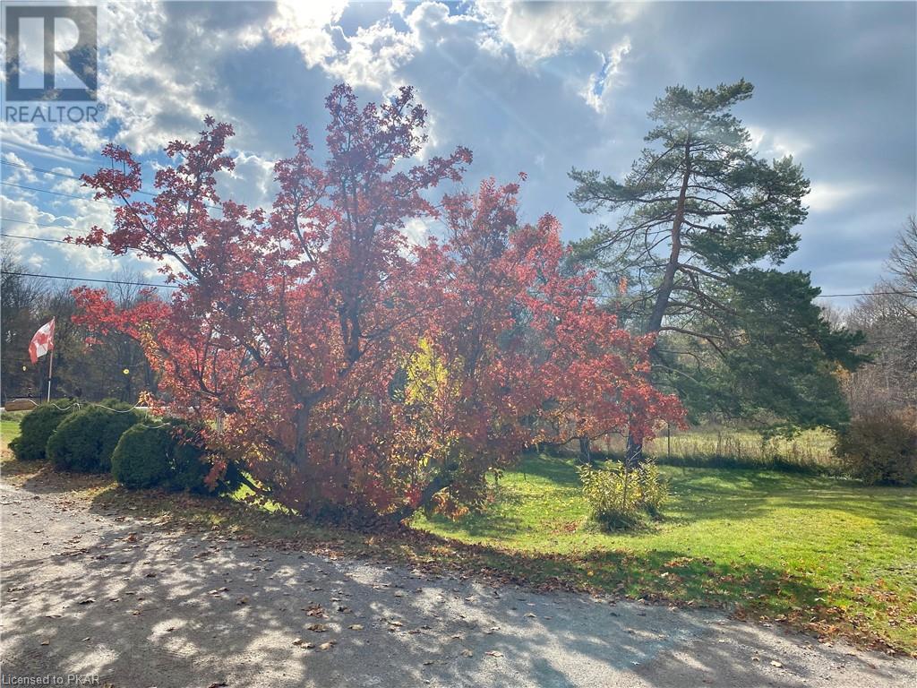 Listing 40385943 - Large Photo # 34
