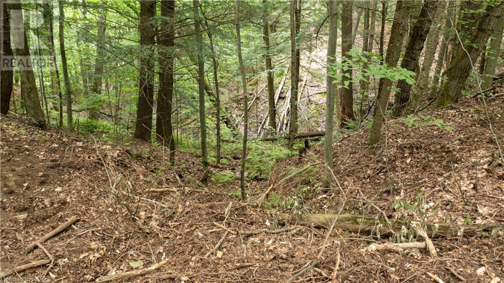 Listing 40386033 - Large Photo # 6