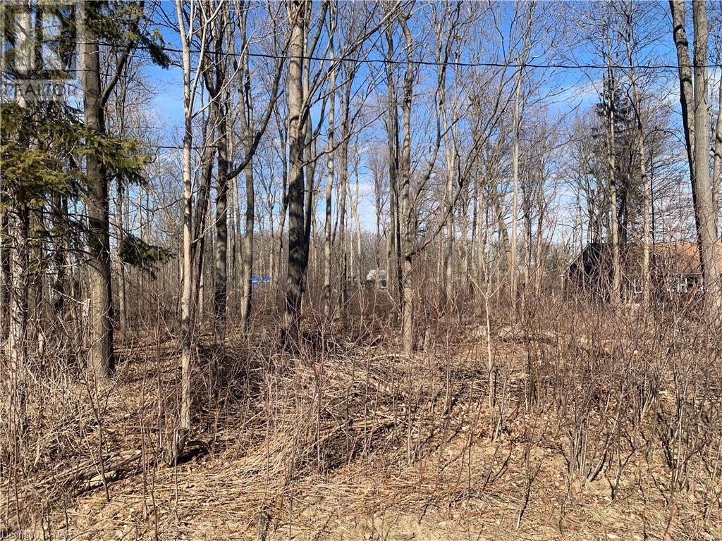 Listing 40386103 - Large Photo # 3