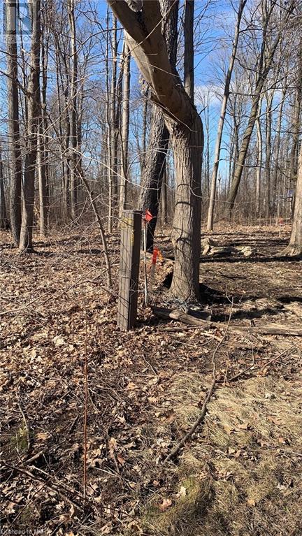 Listing 40386103 - Large Photo # 4