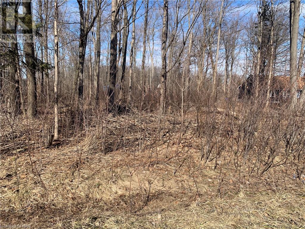 Listing 40386103 - Large Photo # 2