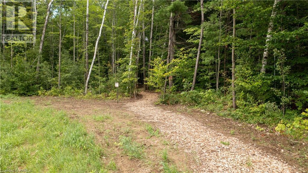Listing 40386122 - Large Photo # 6