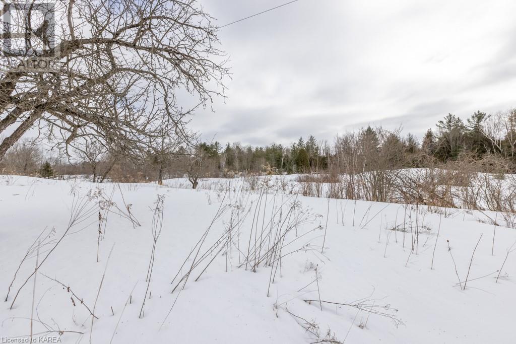 Listing 40386145 - Large Photo # 34