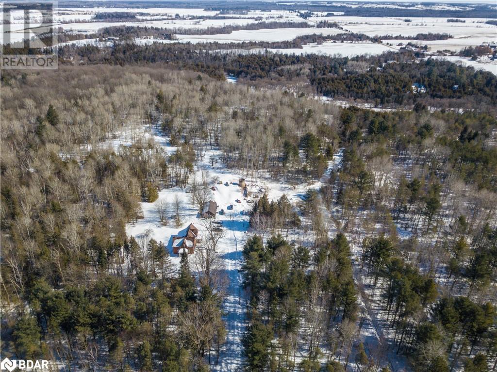 Listing 40386147 - Large Photo # 5
