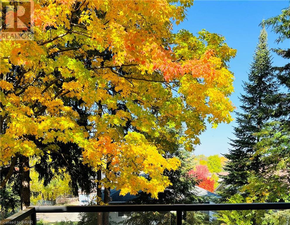 Listing 40386570 - Large Photo # 45