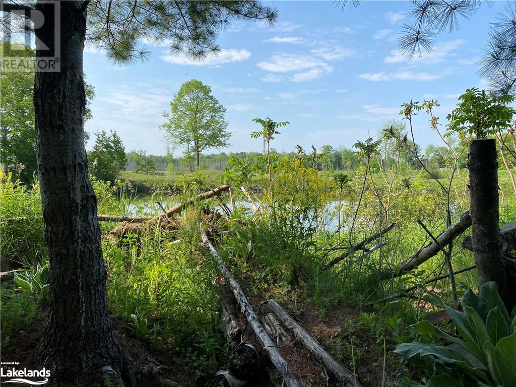 Listing 40386592 - Large Photo # 37