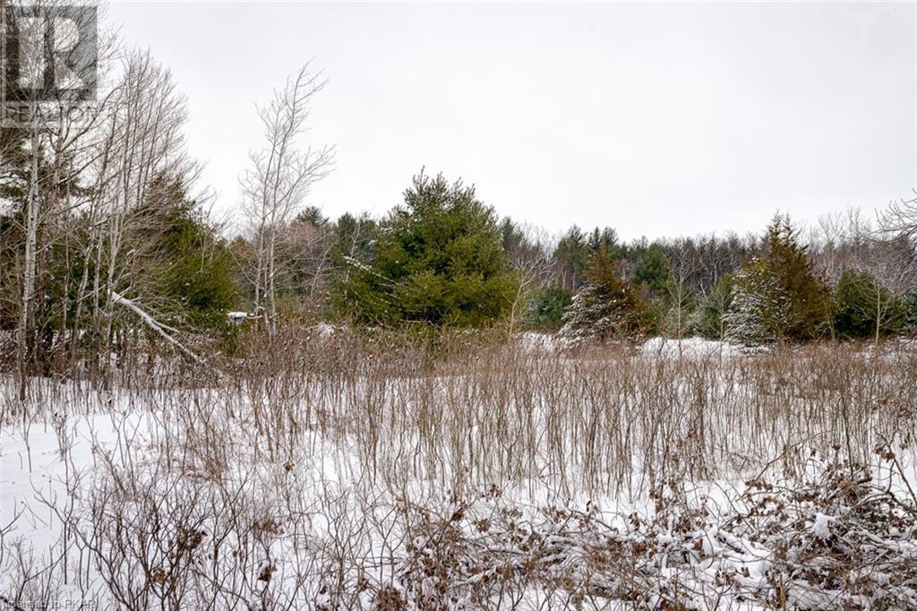 Listing 40386617 - Large Photo # 3