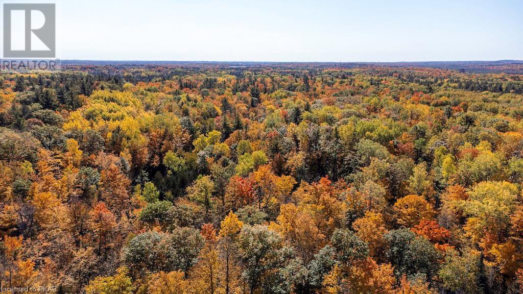 Listing 40386630 - Large Photo # 7