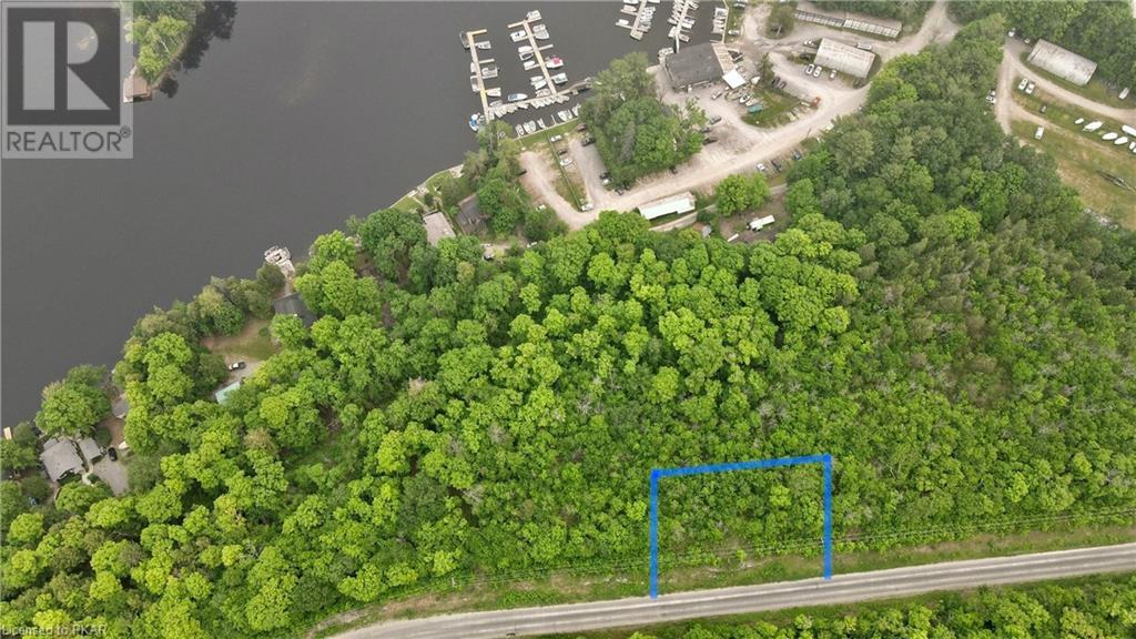 Listing 40386723 - Large Photo # 2