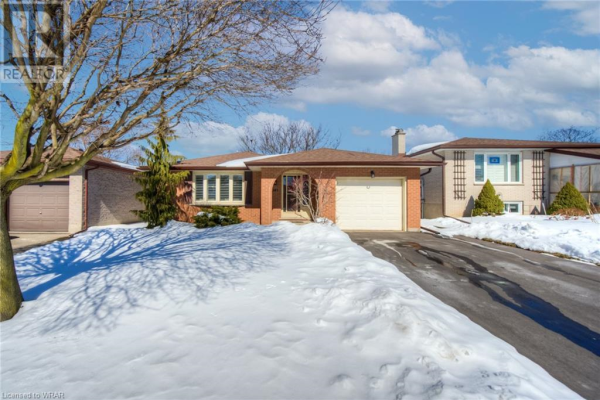 181 MORNINGDALE Crescent, Waterloo