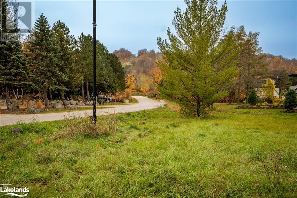 Listing 40387043 - Large Photo # 7