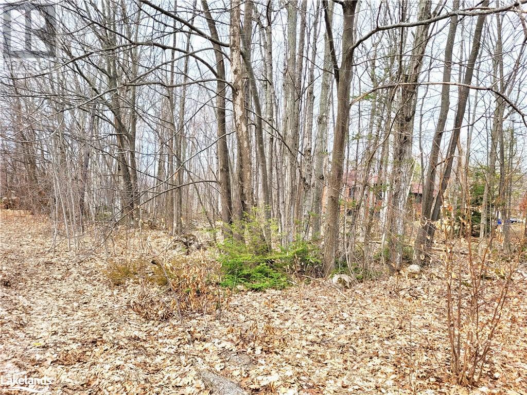 Listing 40387657 - Large Photo # 2