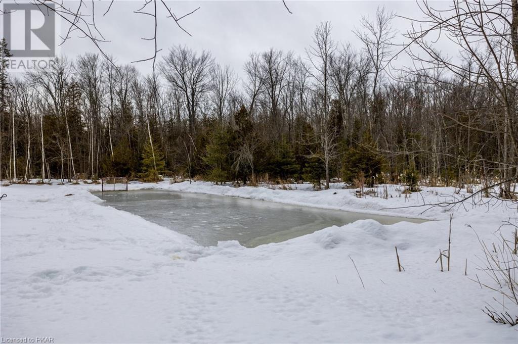 Listing 40387932 - Large Photo # 39